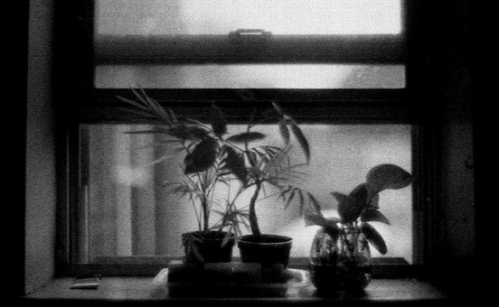 130716115.ggt0qYRJ.3994821952_832dcc1cda_z1