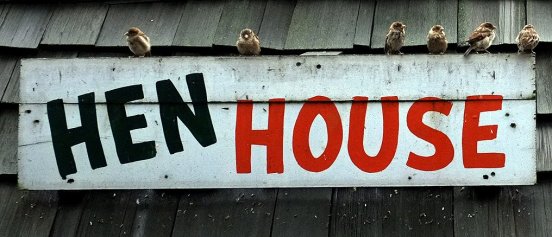 194661_2120866433595_1653904_o