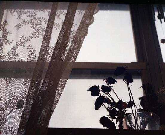 10931567_10205003951930858_4609622440519139540_o