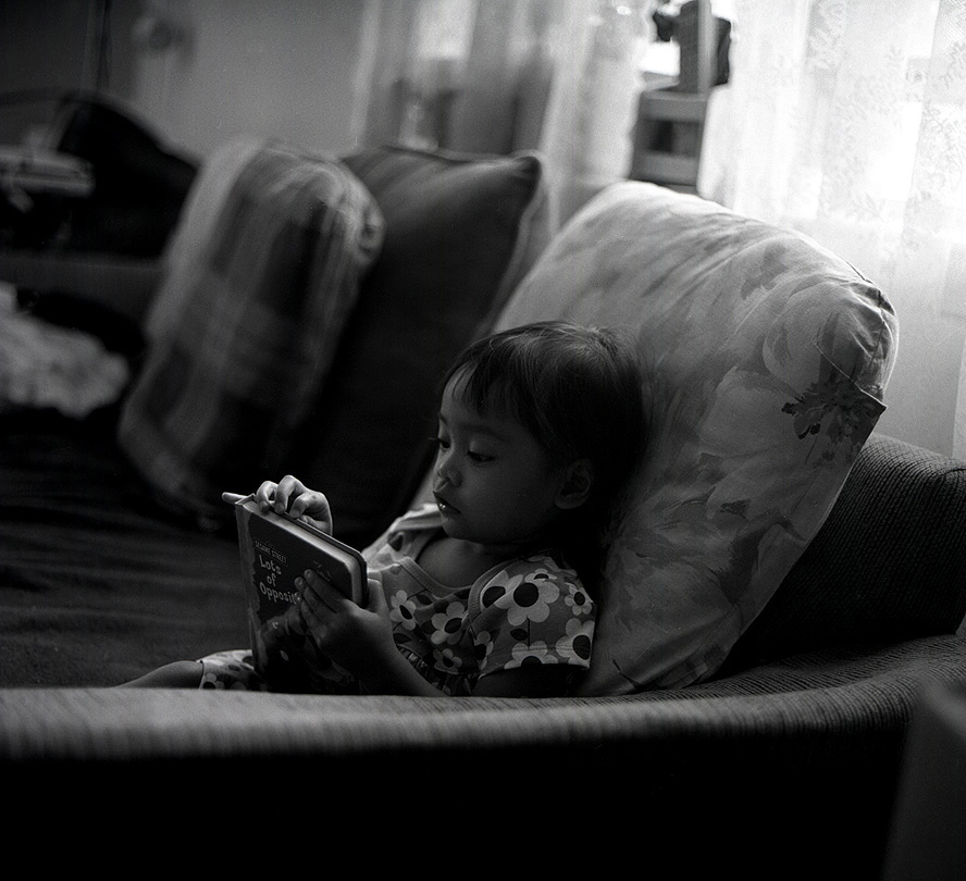 113563082-g8hyksrw-rolxzoebookiipbase